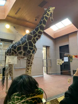 天王寺動物園に投稿された画像（2021/11/14）