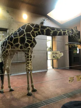 天王寺動物園に投稿された画像（2021/11/14）