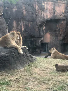 天王寺動物園に投稿された画像（2021/11/14）