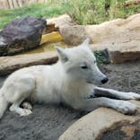 那須どうぶつ王国に投稿された画像（2021/11/14）