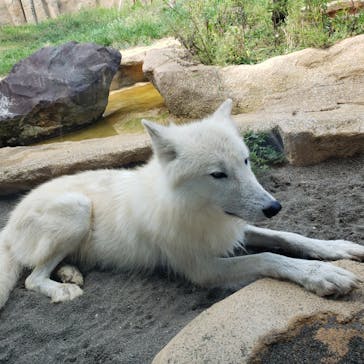 那須どうぶつ王国に投稿された画像（2021/11/14）