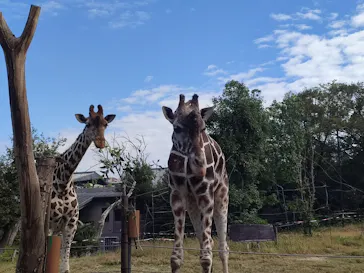 天王寺動物園に投稿された画像（2021/11/14）