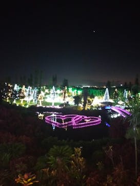 美らヤシパークオキナワ・東南植物楽園に投稿された画像（2021/11/14）