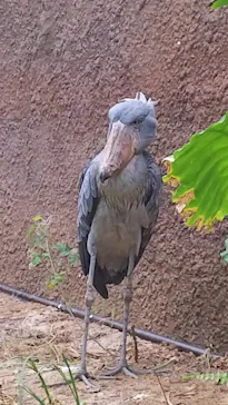 神戸どうぶつ王国に投稿された画像（2021/11/14）