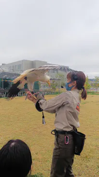 神戸どうぶつ王国に投稿された画像（2021/11/14）