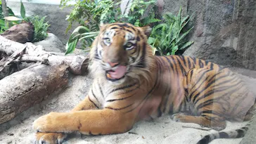 神戸どうぶつ王国に投稿された画像（2021/11/14）