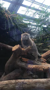 神戸どうぶつ王国に投稿された画像（2021/11/14）