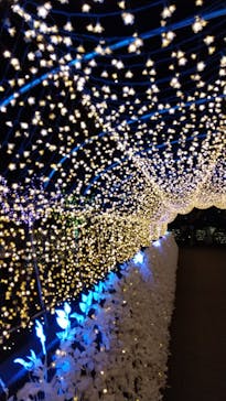 東京メガイルミに投稿された画像（2021/11/14）