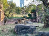 天王寺動物園に投稿された画像（2021/11/14）