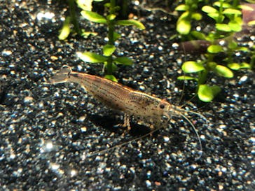 サンシャイン水族館に投稿された画像（2021/11/14）