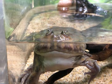 サンシャイン水族館に投稿された画像（2021/11/14）