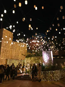 ひらかたパークに投稿された画像（2021/11/14）