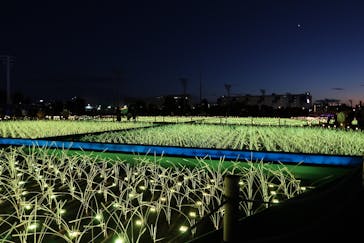 東京メガイルミに投稿された画像（2021/11/14）