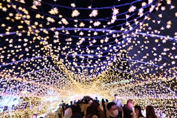 東京メガイルミに投稿された画像（2021/11/14）