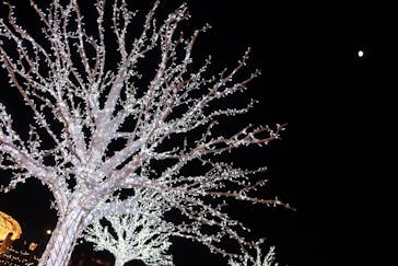 東京メガイルミに投稿された画像（2021/11/14）