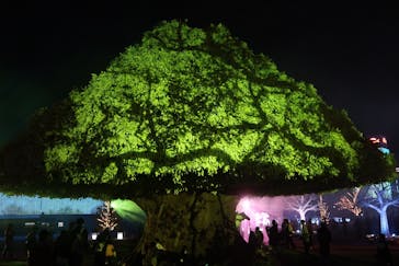 東京メガイルミに投稿された画像（2021/11/14）