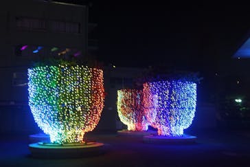 東京メガイルミに投稿された画像（2021/11/14）