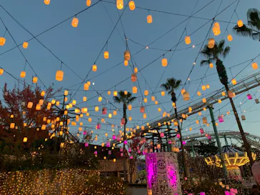 ひらかたパークに投稿された画像（2021/11/14）