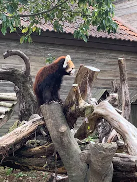 ひらかたパークに投稿された画像（2021/11/14）