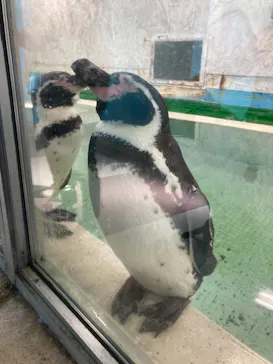 天王寺動物園に投稿された画像（2021/11/14）