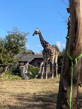 天王寺動物園に投稿された画像（2021/11/14）