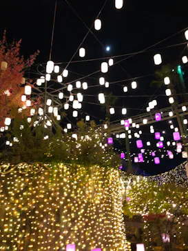 ひらかたパークに投稿された画像（2021/11/14）