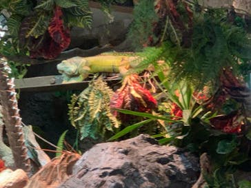 サンシャイン水族館に投稿された画像（2021/11/14）