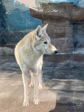天王寺動物園に投稿された画像（2021/11/14）