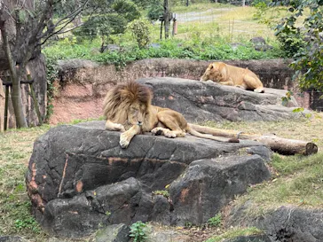 天王寺動物園に投稿された画像（2021/11/14）