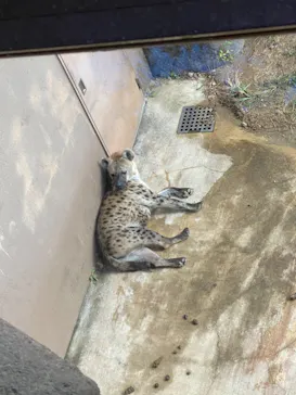 天王寺動物園に投稿された画像（2021/11/14）
