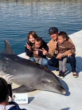うみたま体験パーク 「つくみイルカ島」に投稿された画像（2021/11/14）