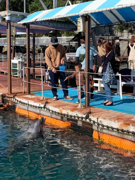 うみたま体験パーク 「つくみイルカ島」に投稿された画像（2021/11/14）