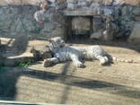 東武動物公園に投稿された画像（2021/11/14）