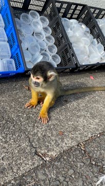 伊豆シャボテン動物公園に投稿された画像（2021/11/14）