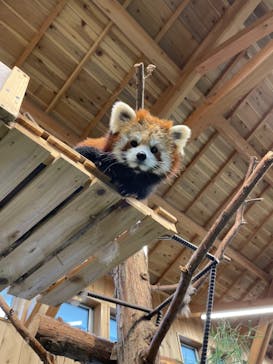 伊豆シャボテン動物公園に投稿された画像（2021/11/14）