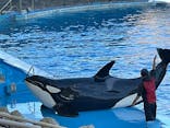 名古屋港水族館に投稿された画像（2021/11/15）