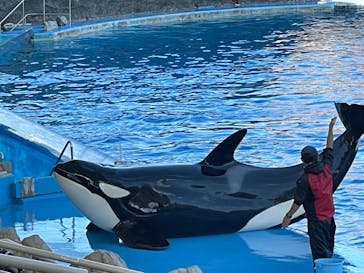 名古屋港水族館に投稿された画像（2021/11/14）