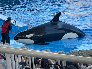 名古屋港水族館に投稿された画像（2021/11/14）