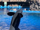 名古屋港水族館に投稿された画像（2021/11/15）
