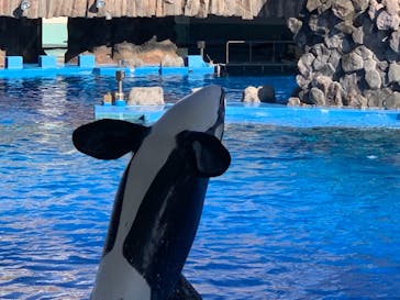 名古屋港水族館に投稿された画像（2021/11/14）