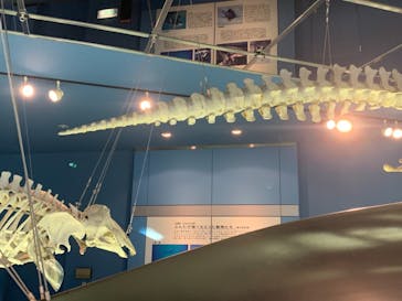 名古屋港水族館に投稿された画像（2021/11/14）