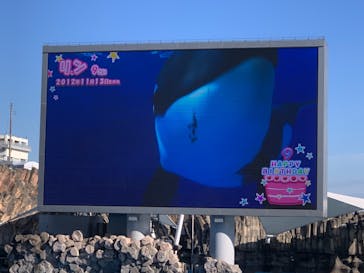 名古屋港水族館に投稿された画像（2021/11/14）