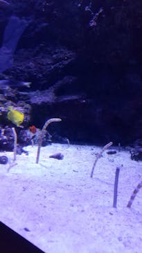 マクセル アクアパーク品川に投稿された画像（2021/11/14）