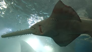 マクセル アクアパーク品川に投稿された画像（2021/11/14）