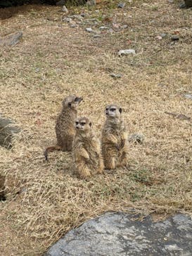 長崎バイオパークに投稿された画像（2021/11/14）