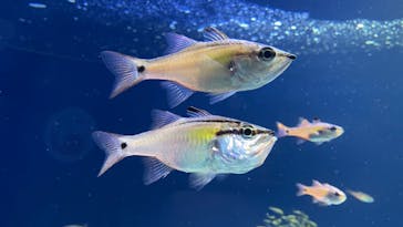 サンシャイン水族館に投稿された画像（2021/11/14）