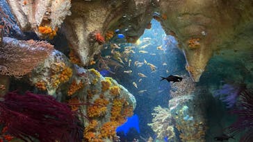 サンシャイン水族館に投稿された画像（2021/11/14）