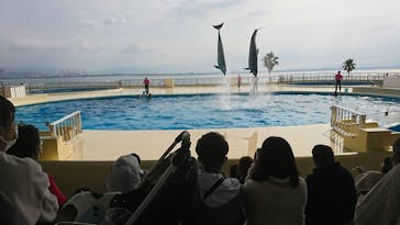 マリンワールド海の中道に投稿された画像（2021/11/14）