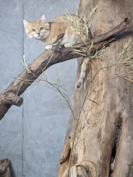 神戸どうぶつ王国に投稿された画像（2021/11/15）