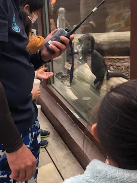 横浜・八景島シーパラダイスに投稿された画像（2021/11/15）